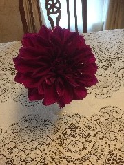 Ruth s flowers; Home Canandaigua, NY